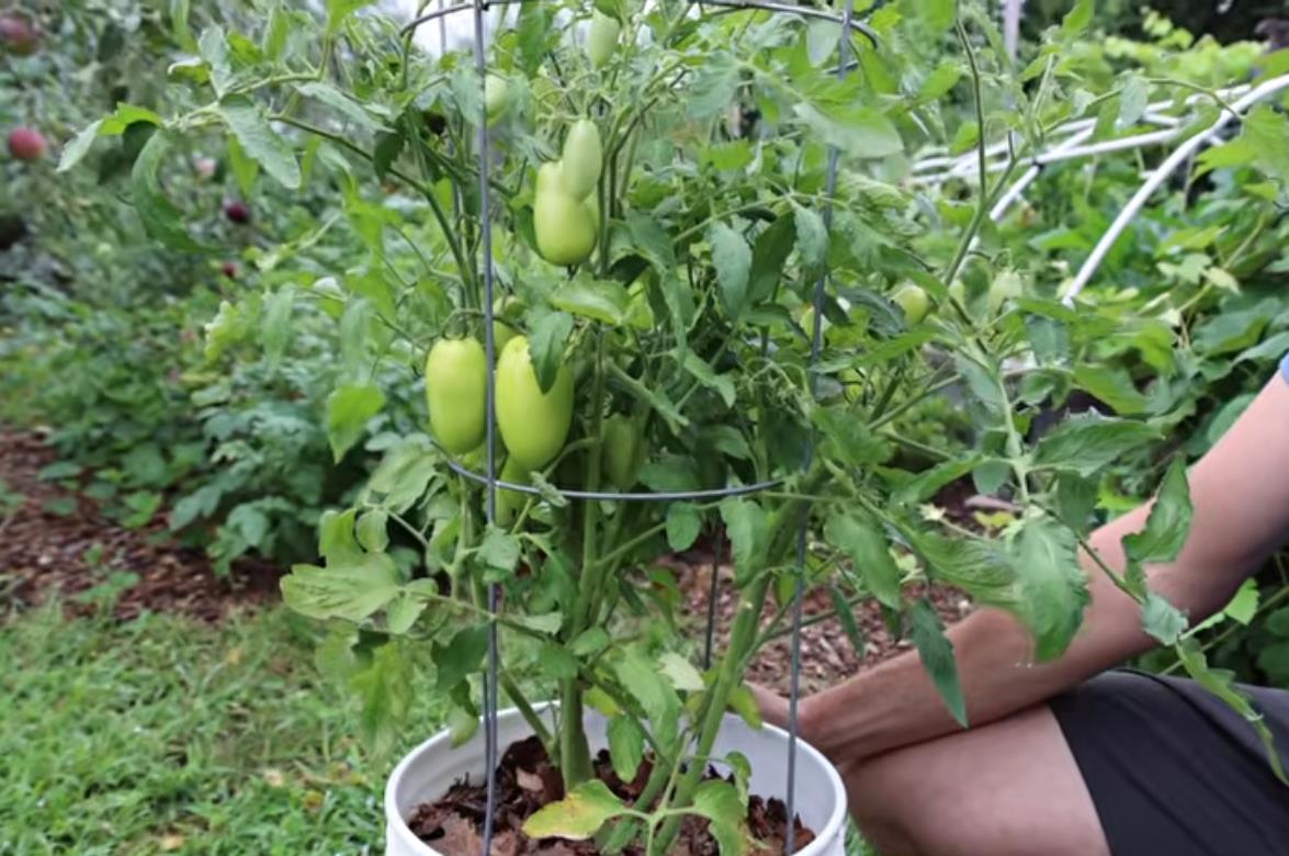 Screenshot 2026-03-30 154418.png