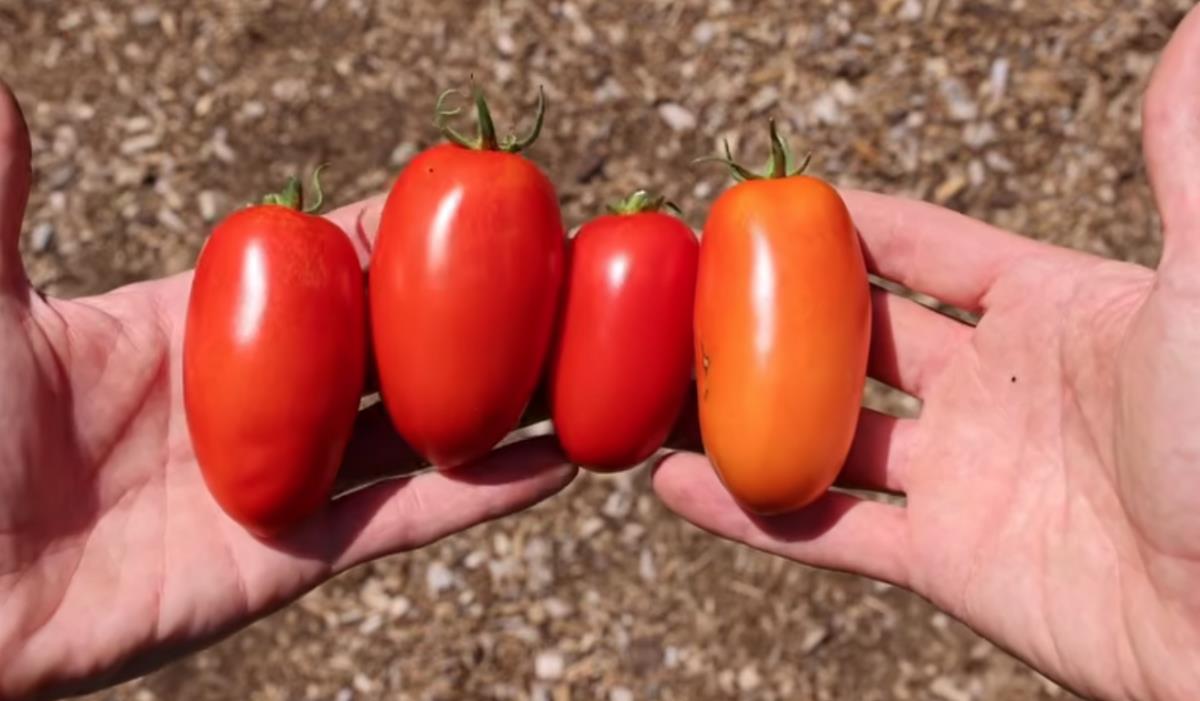 Screenshot 2026-03-30 154427.jpg