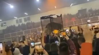 Vuk na turniru u Ulcinju 3.jpg