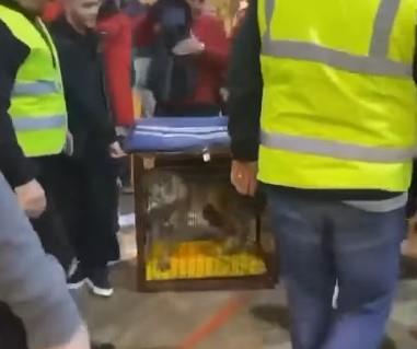 Vuk na turniru u Ulcinju 4.jpg