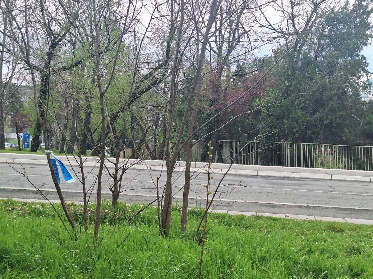 Humska ulica izbodena žena (4).jpeg