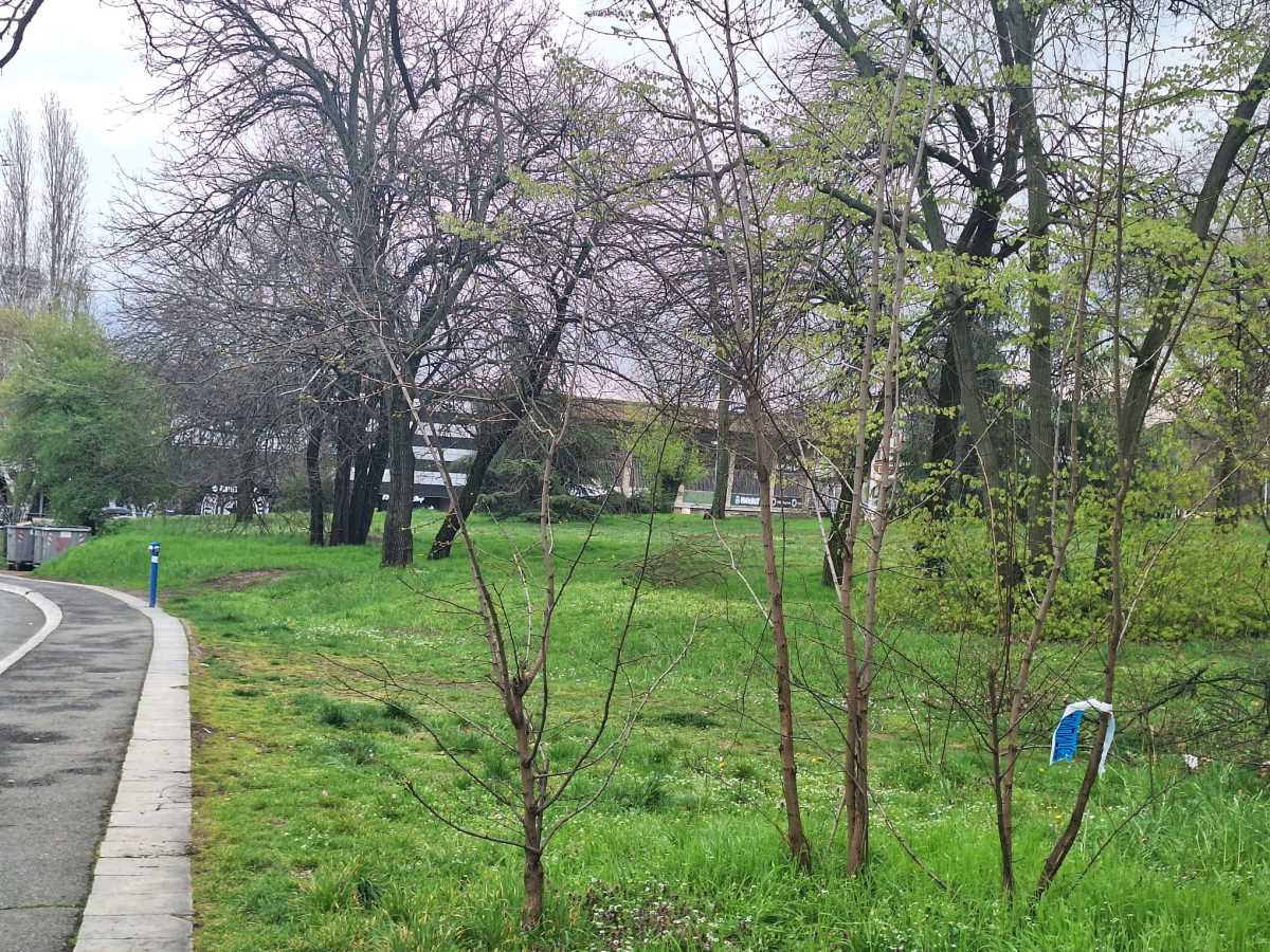 Humska ulica izbodena žena (5).jpeg