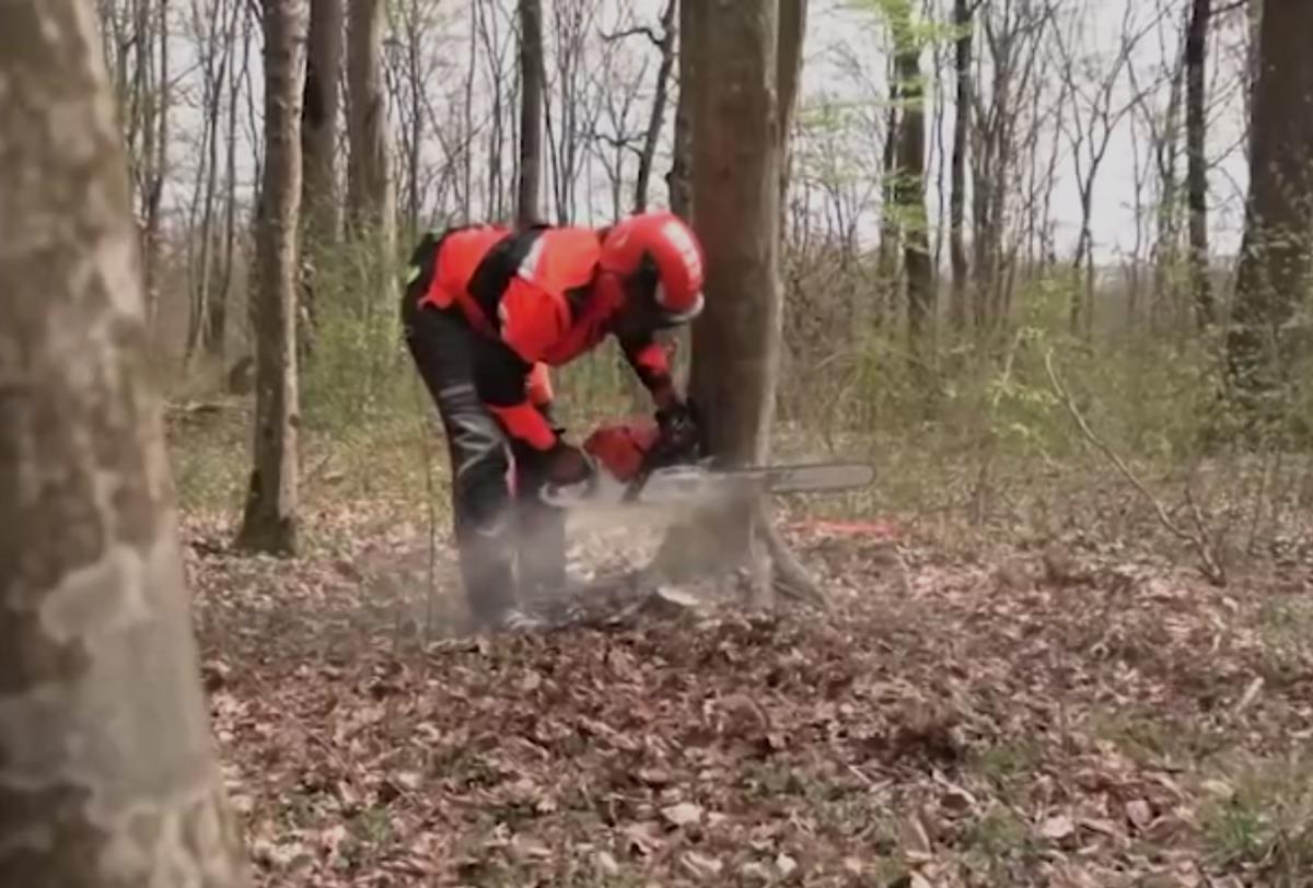 Screenshot 2026-03-31 215725.png