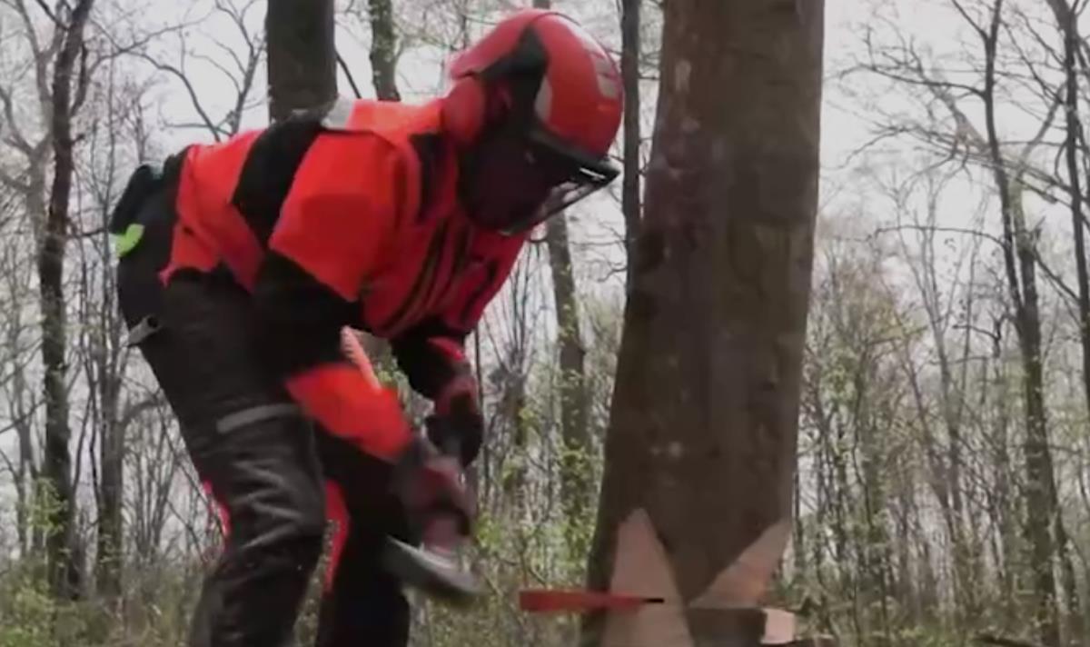 Screenshot 2026-03-31 215732.png