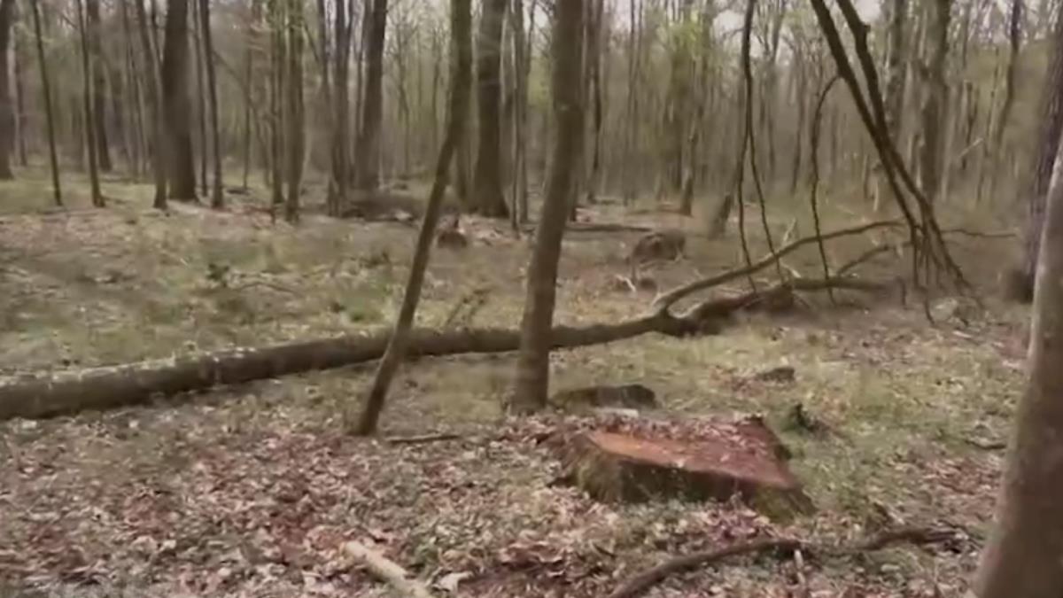 Screenshot 2026-03-31 215739.png