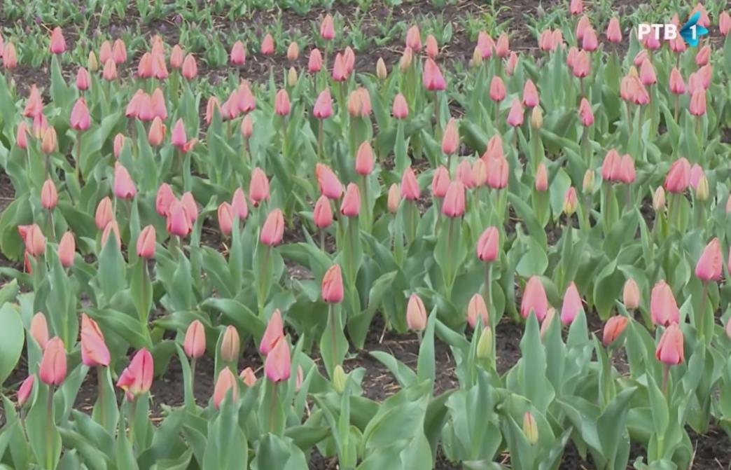 Screenshot 2026-04-01 145841.jpg