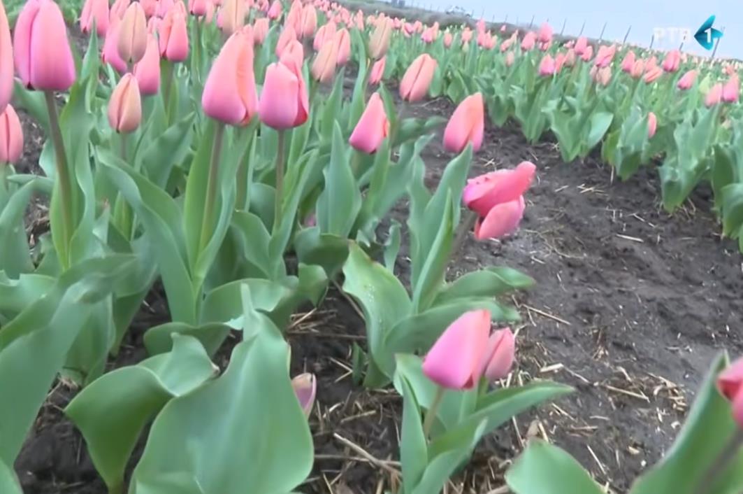 Screenshot 2026-04-01 145908.png