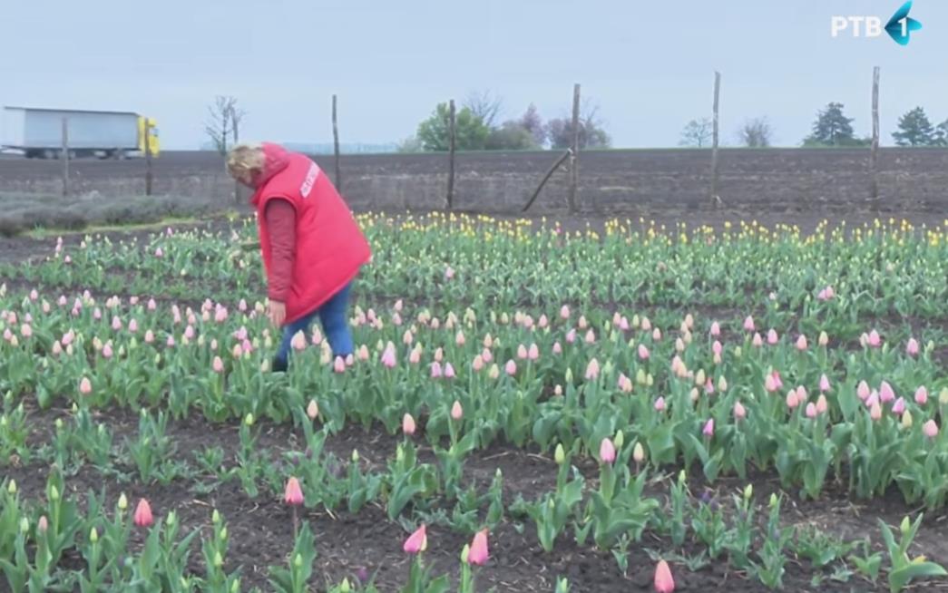 Screenshot 2026-04-01 150153.png