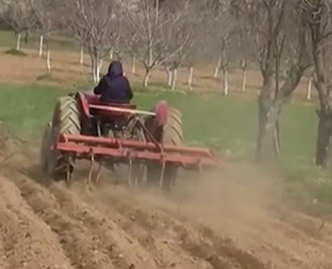 baka vozi traktor.jpg