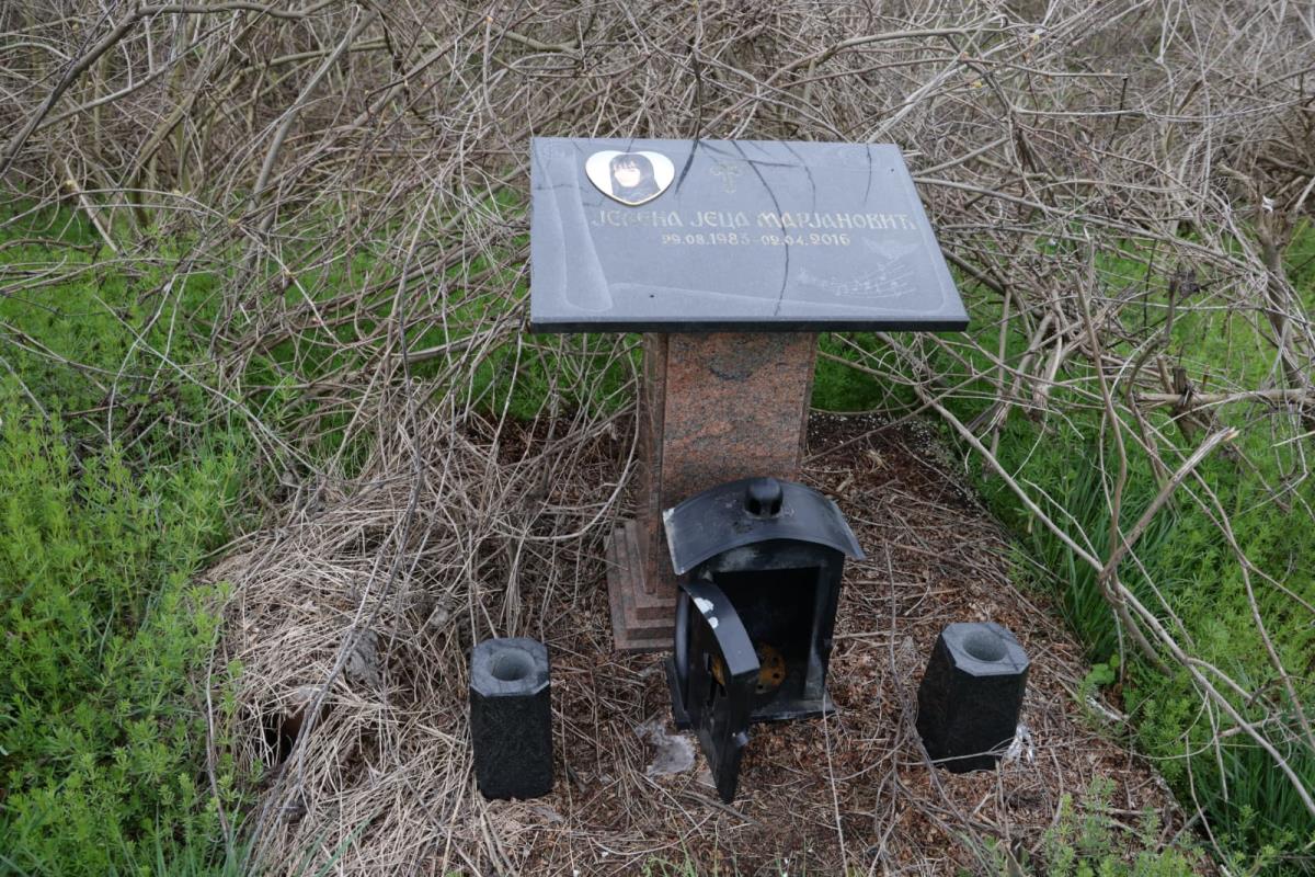 WhatsApp Image 2026-04-02 at 12.26.27.jpeg