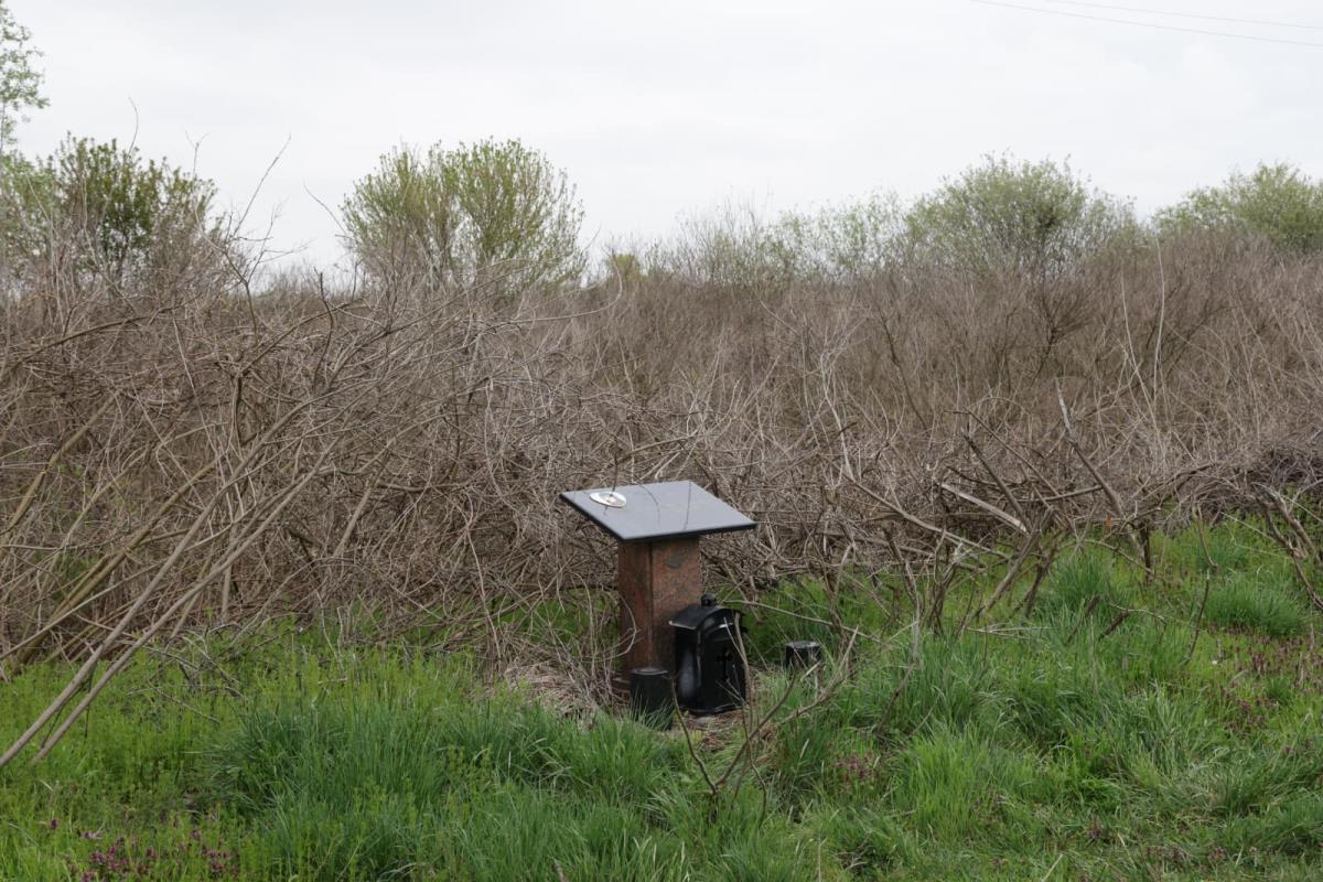 WhatsApp Image 2026-04-02 at 12.26.49.jpeg