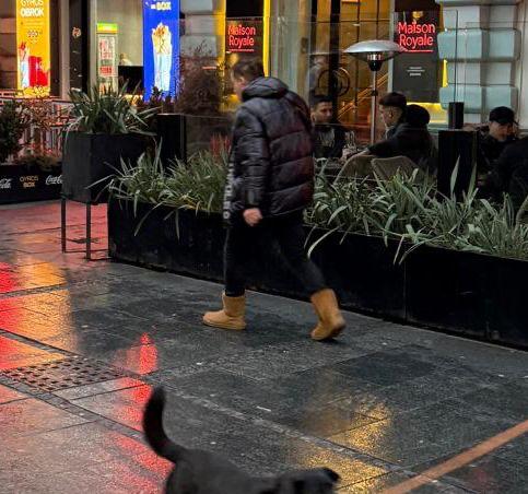 WhatsApp Image 2026-04-02 at 11.19.09.jpeg