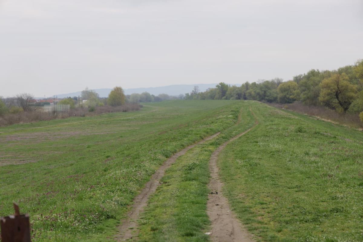 WhatsApp Image 2026-04-02 at 12.53.56.jpeg