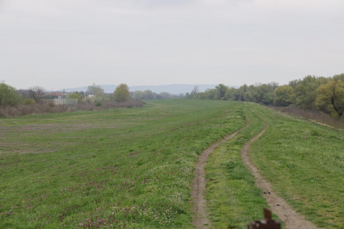 WhatsApp Image 2026-04-02 at 12.53.55 (2).jpeg