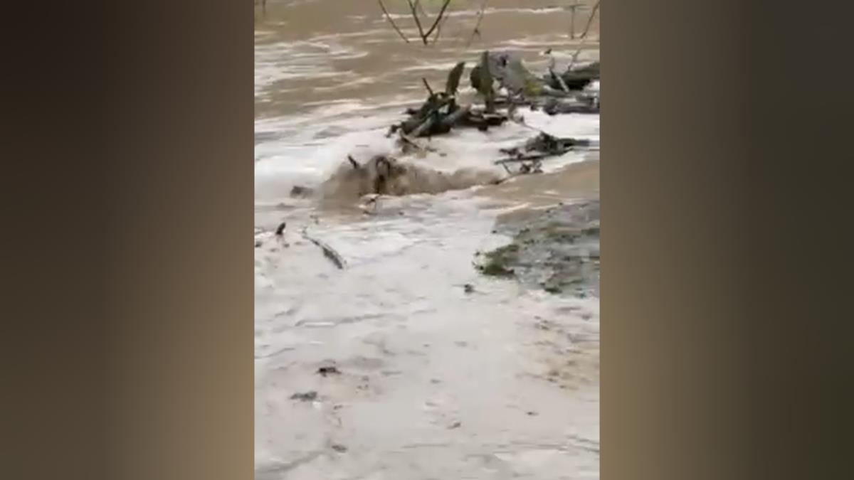 1775138649Foto - RINA – izlila se reka Osonica_2.1.4.jpg