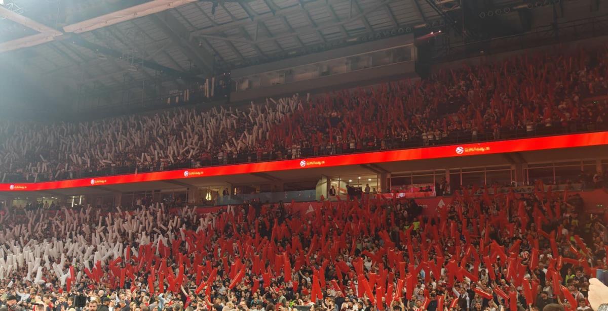 WhatsApp Image 2026-04-02 at 20.00.54.jpeg