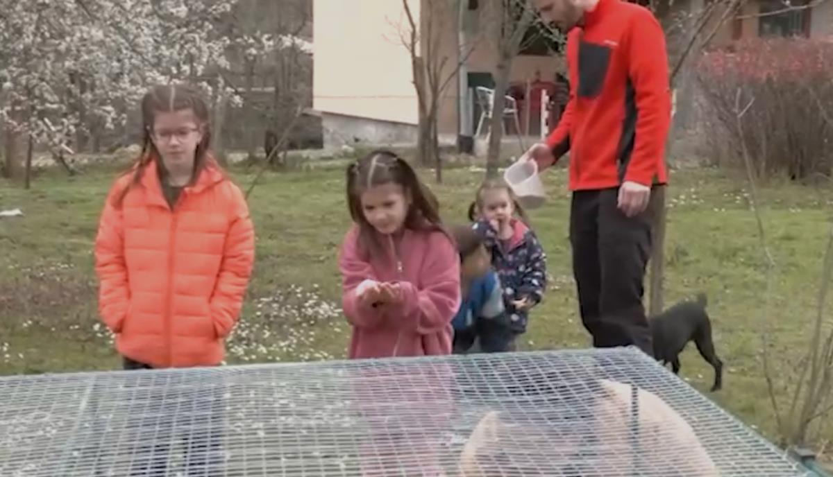 Screenshot 2026-04-03 164108.png