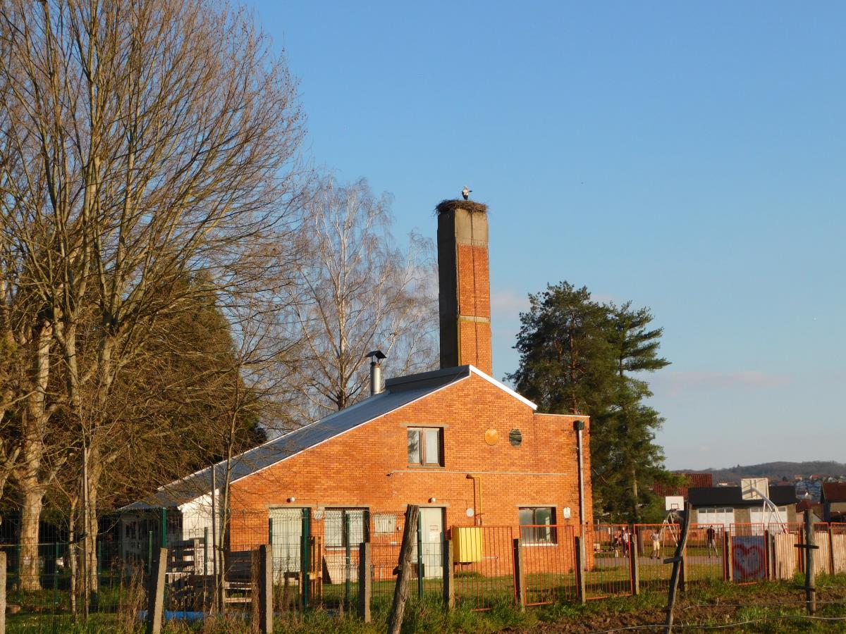 LOZNICA - Na vrhu dimnjaka.jpg