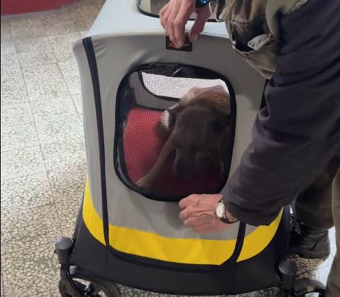 Screenshot 2026-04-05 123647.png