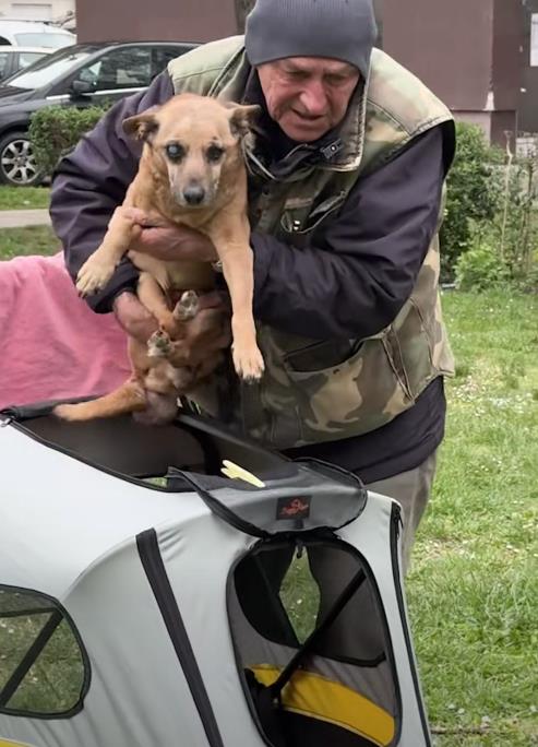 Screenshot 2026-04-05 123711.png