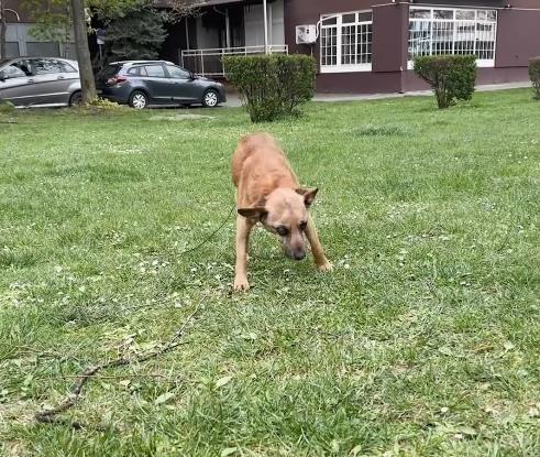 Screenshot 2026-04-05 123716.png