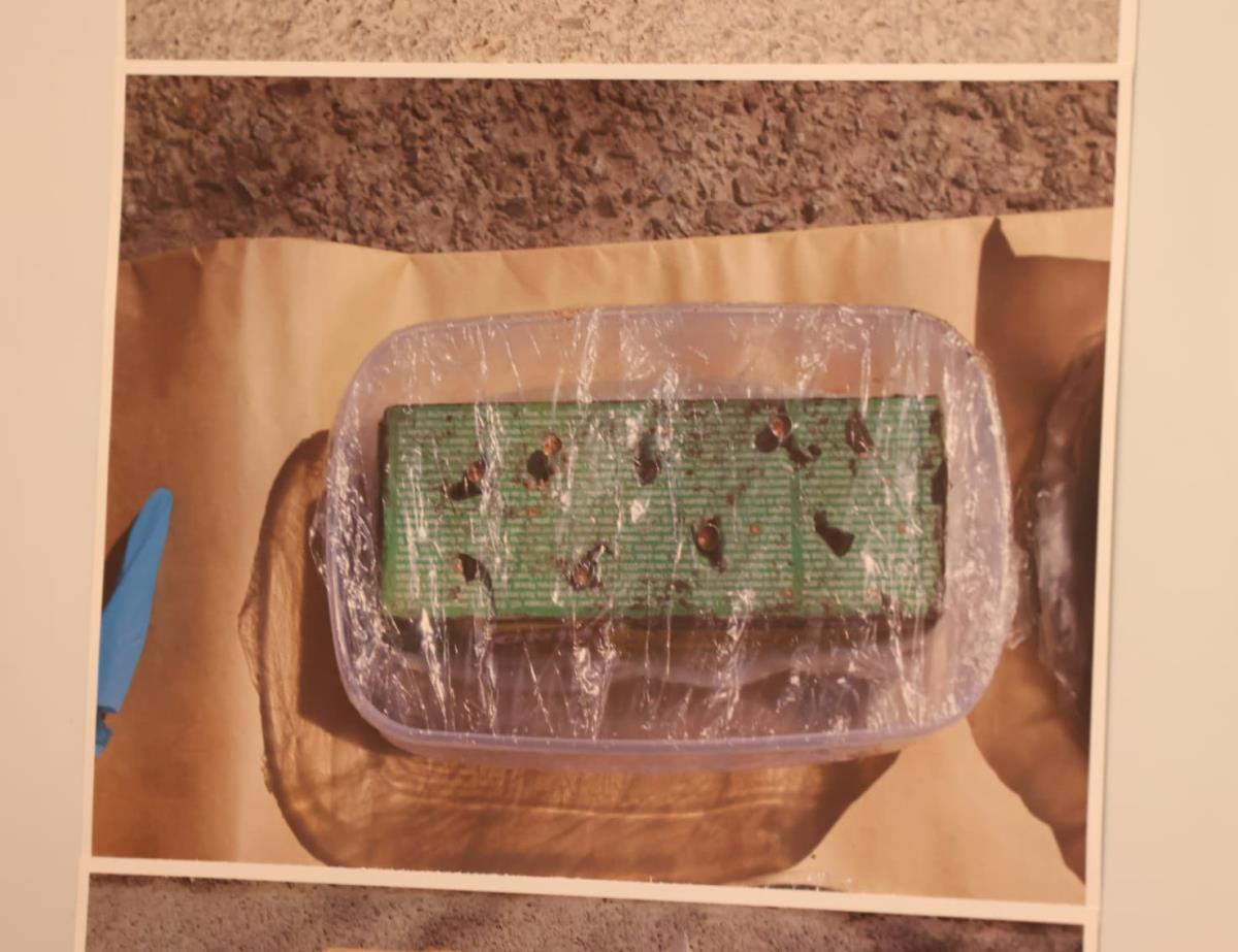 Đuro Jovanić Kanjiža eksploziv