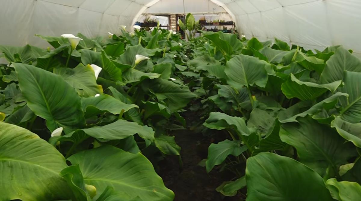 Screenshot 2026-04-06 101731.png