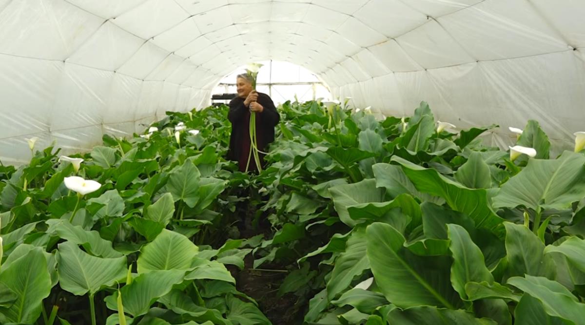 Screenshot 2026-04-06 101737.png