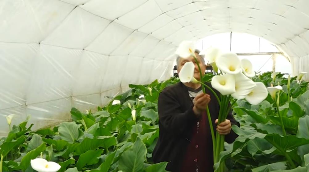 Screenshot 2026-04-06 101753.png