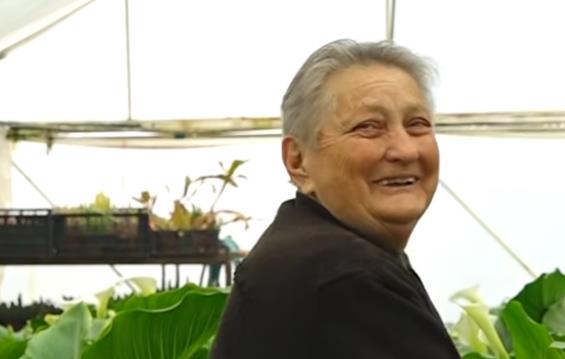 Screenshot 2026-04-06 102509.png