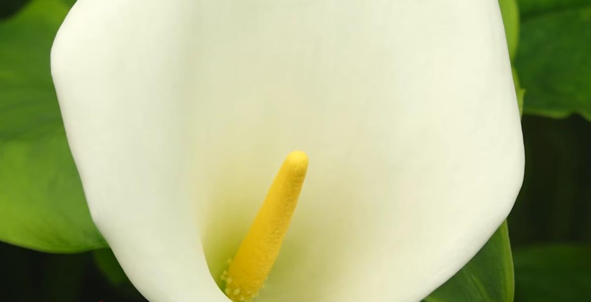 Screenshot 2026-04-06 102807.png