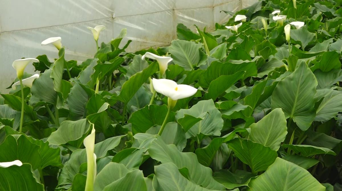 Screenshot 2026-04-06 102945.png