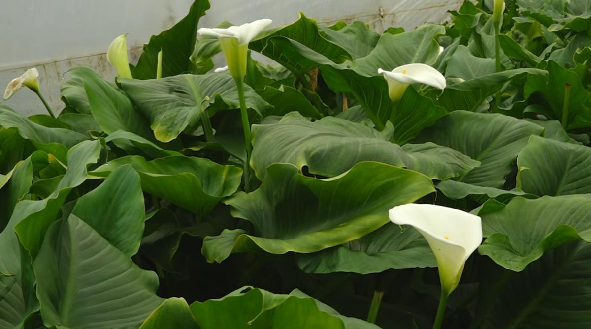 Screenshot 2026-04-06 103211.png