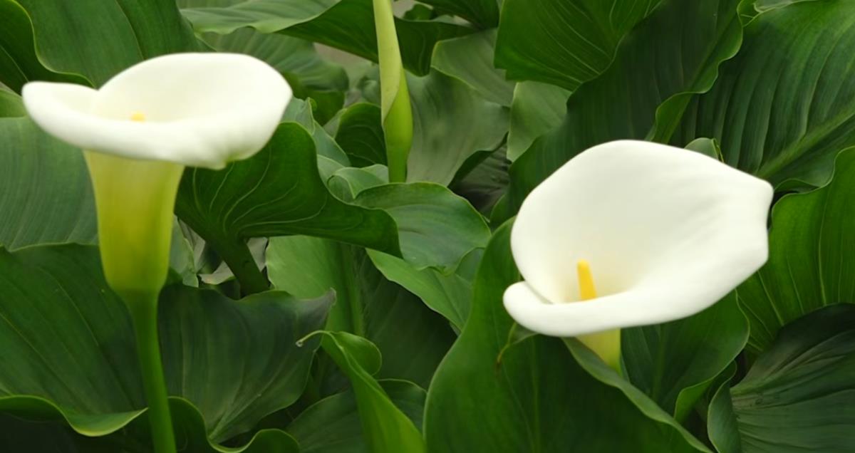 Screenshot 2026-04-06 103220.png