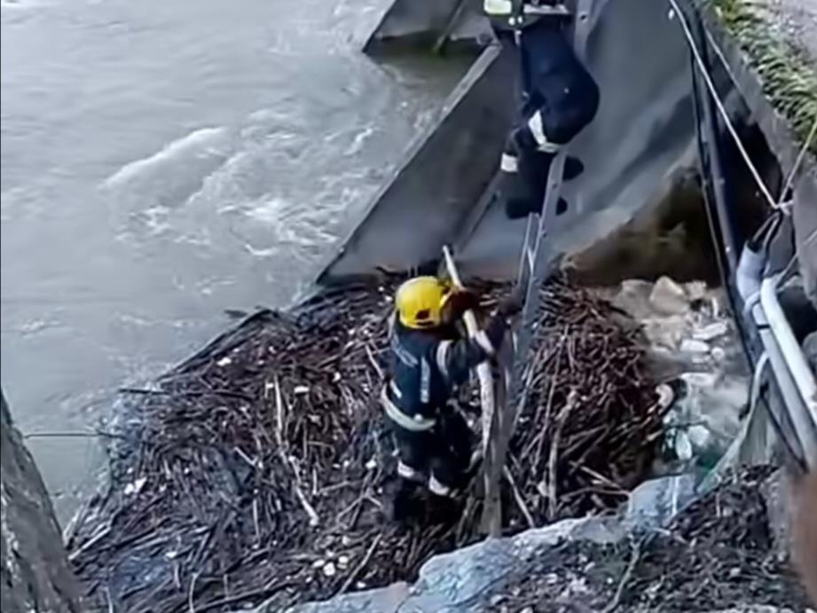 Foto - privatna arhiva - Spasavanje šteneta 1.jpg