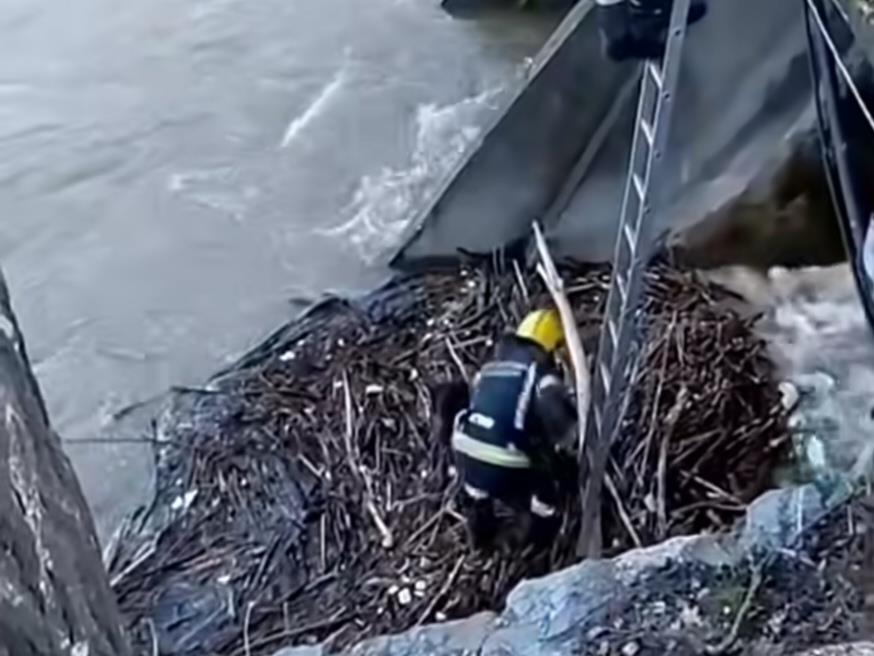 Foto - privatna arhiva - Spasavanje šteneta.jpg