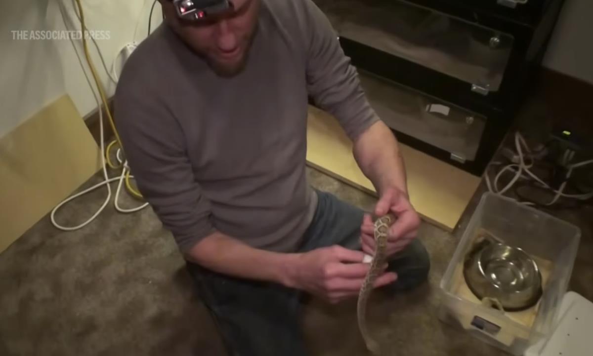 Tim Frid drži zmiju i učestvuje u eksperimentima sa otrovom (2).png