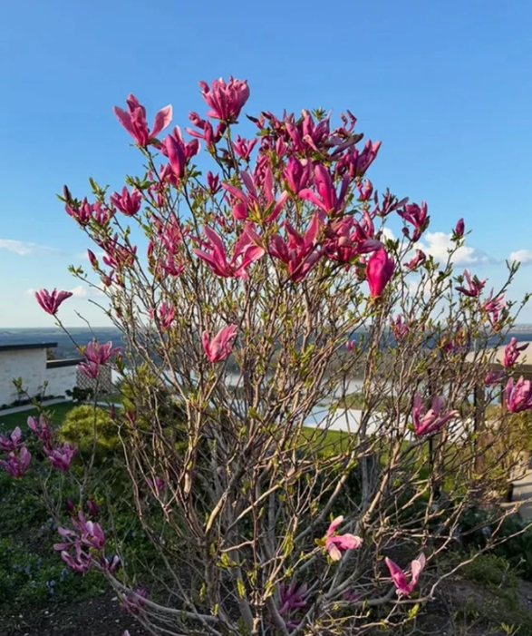 Screenshot 2026-04-07 213859.png