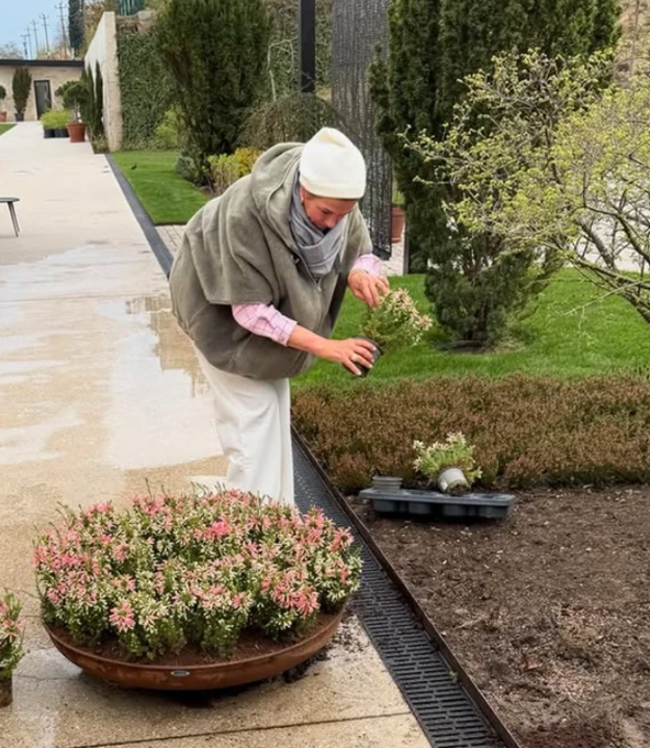 Screenshot 2026-04-07 213904.png