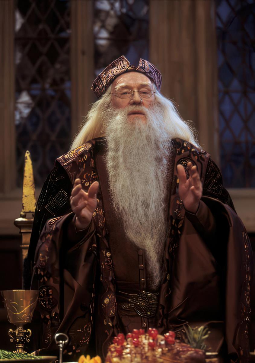 Hari Poter i Kamen mudrosti