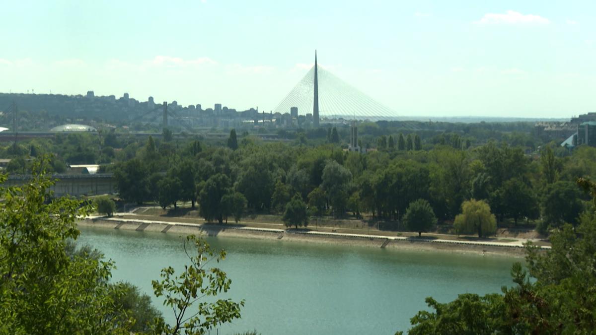 Sequence 01.01_47_50_13.Still006.jpg