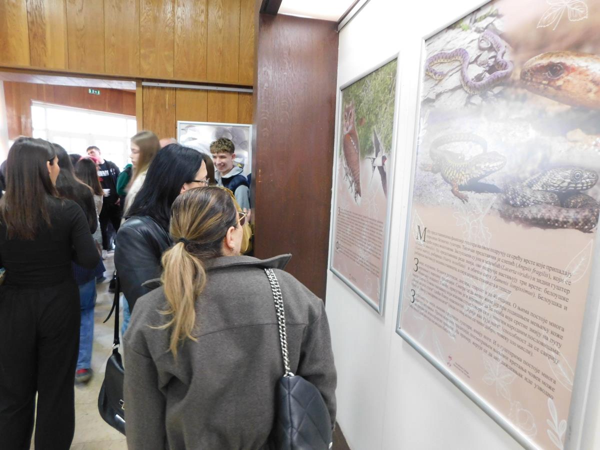 LOZNICA - Interesovanje.JPG