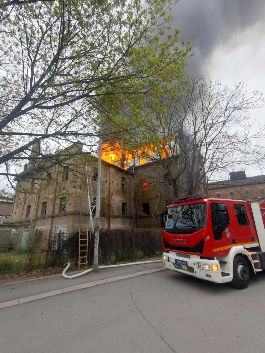 WhatsApp Image 2026-04-10 at 19.10.07.jpeg