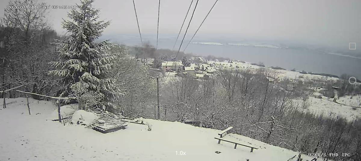 670753748_4268476230130031_4922956682505791704_n (1).jpg