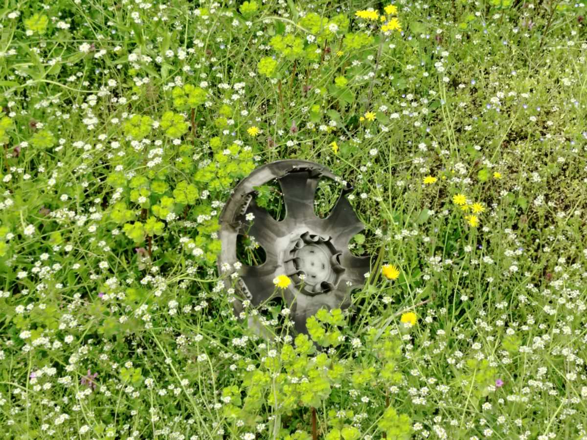 WhatsApp Image 2026-04-11 at 12.52.54.jpeg