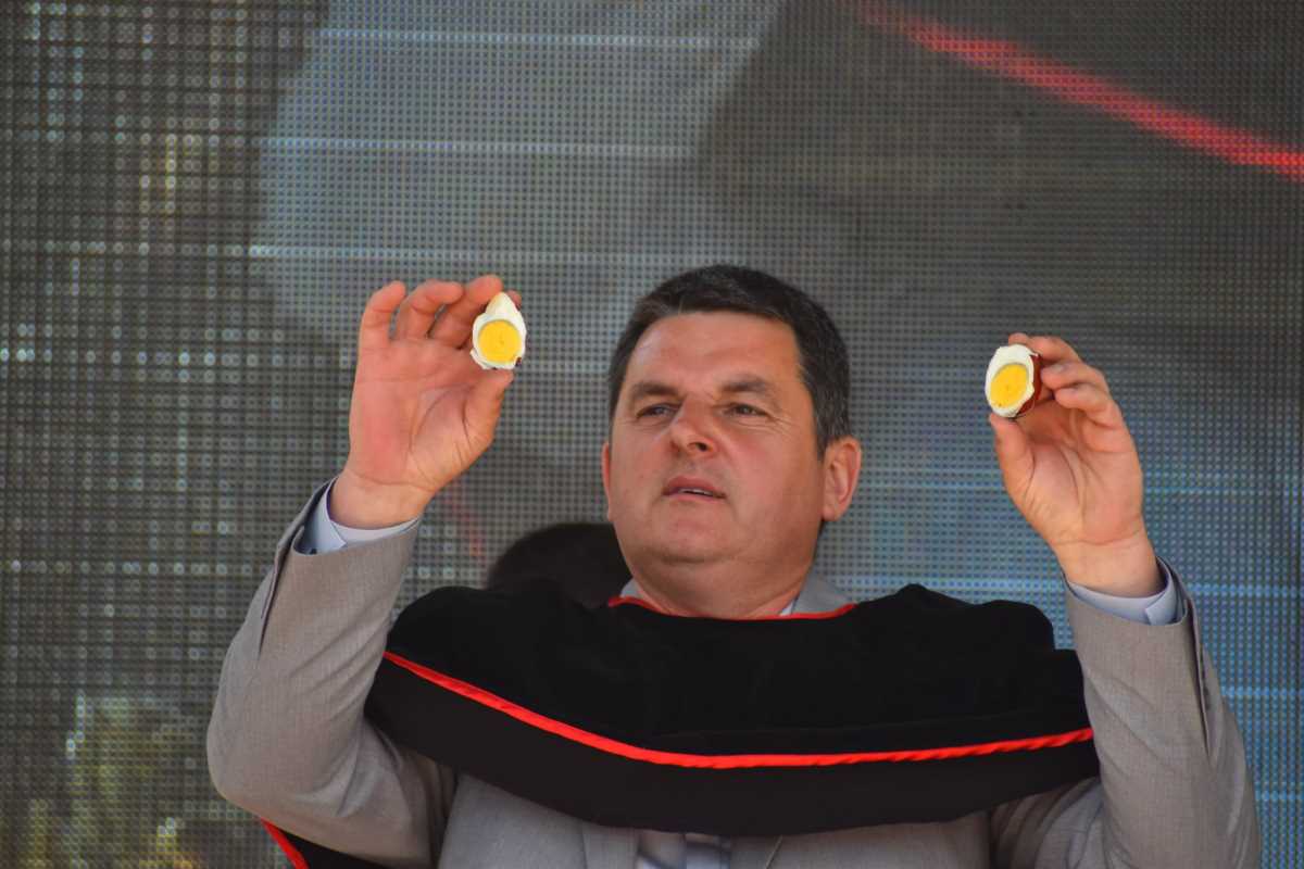 WhatsApp Image 2026-04-11 at 16.16.02.jpeg