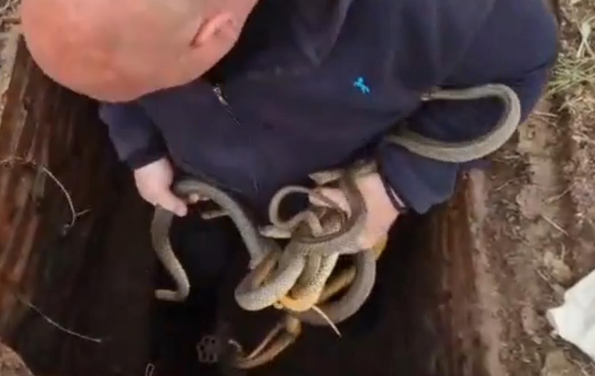 Screenshot 2026-04-11 180241.jpg