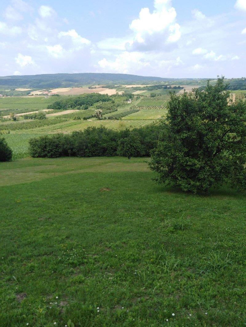 atraktivan-plac-na-fruskoj-gori-irig-hopovo_1.jpg