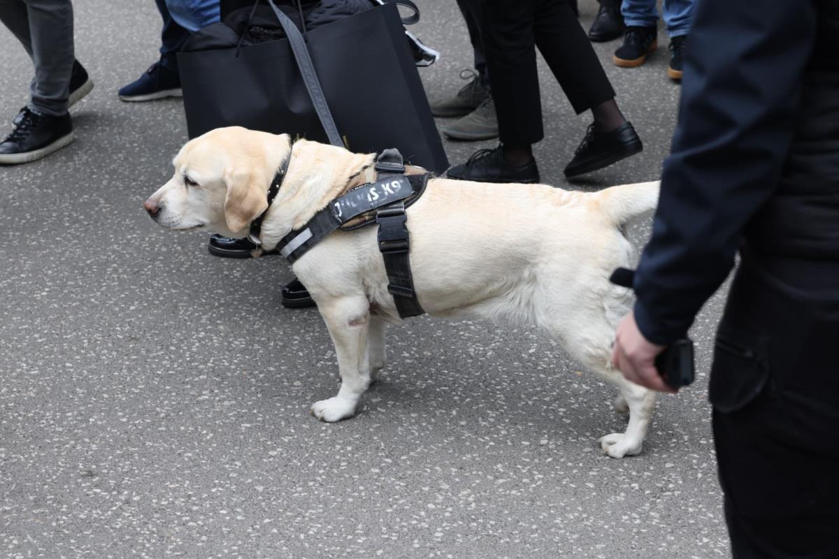 WhatsApp Image 2026-04-14 at 12.43.14.jpeg