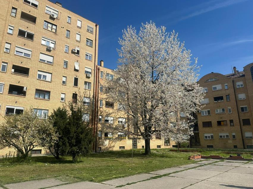 Screenshot 2026-04-14 133805.png